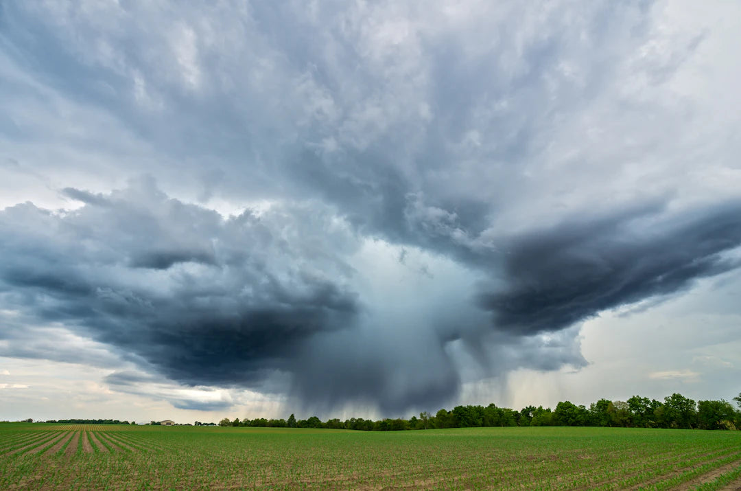 Weather's Impact on Flight Simulations: A Deep Dive
