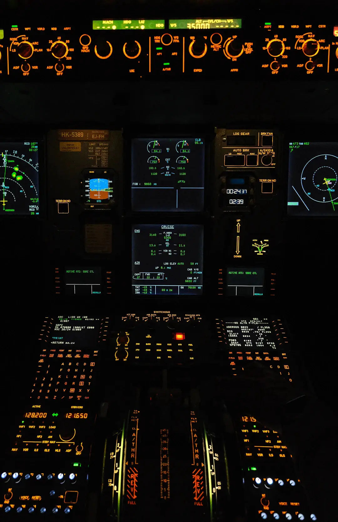The Psychology of Flight Simulation Immersion  Realism