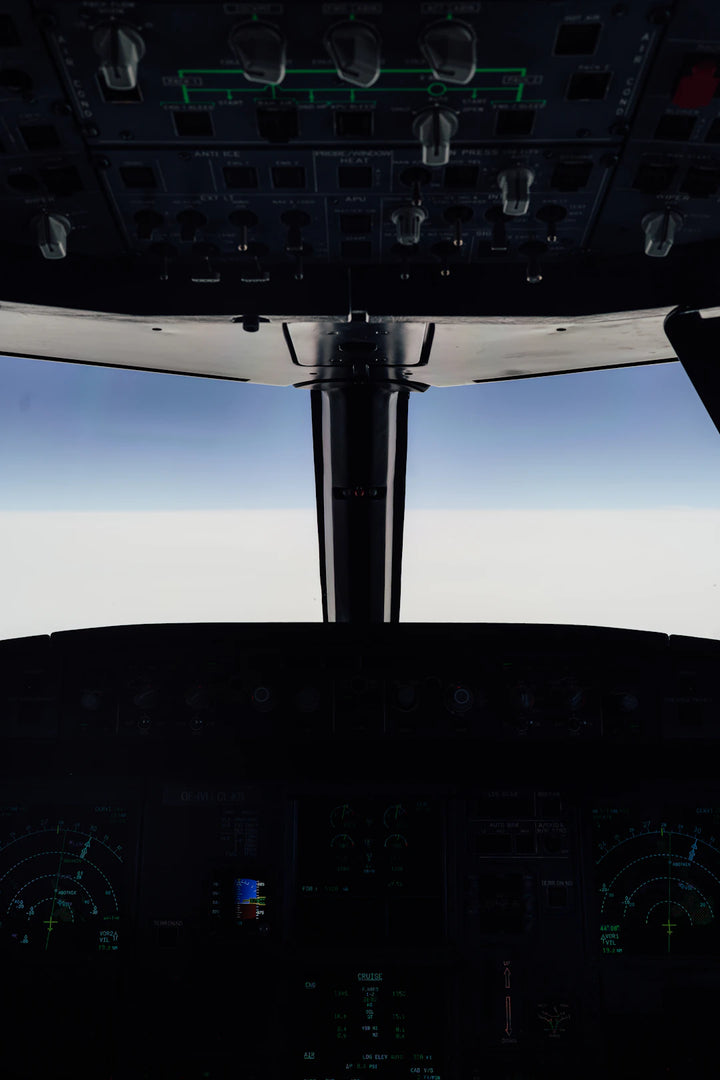 Explore the World with Virtual Flight Simulators