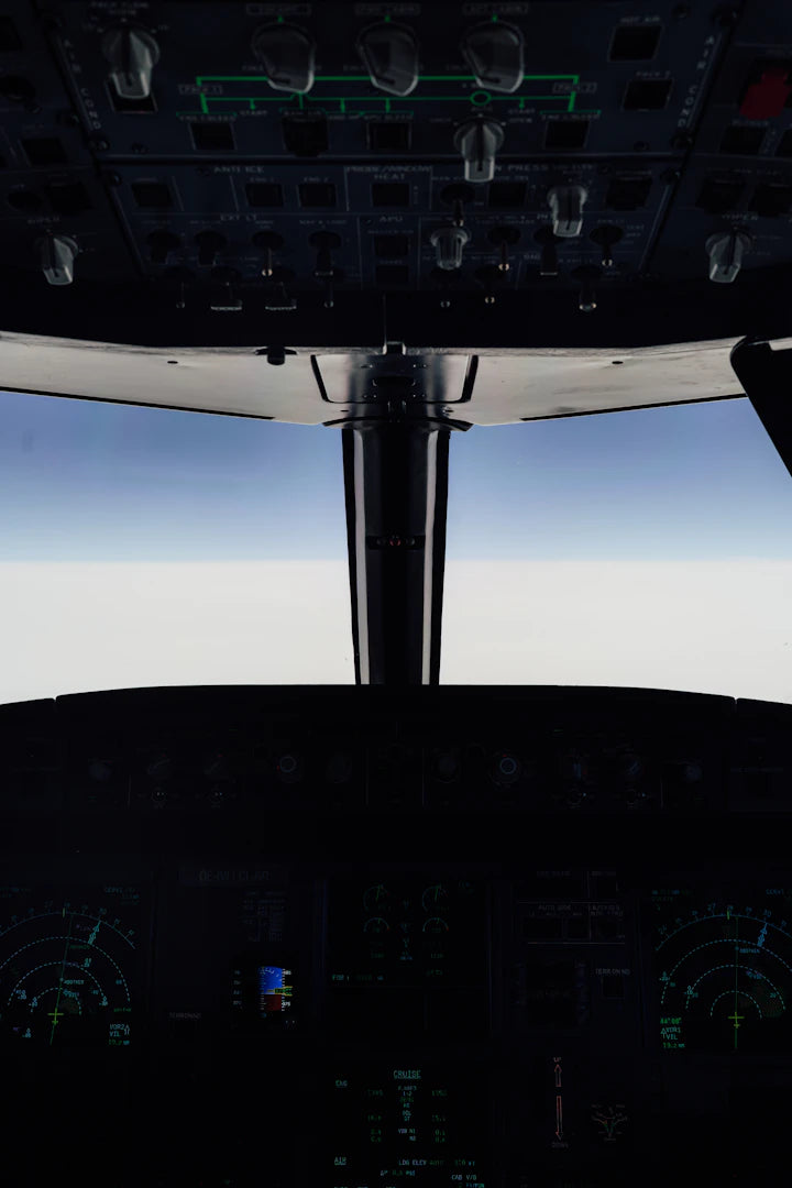 Famous Flight Simulation Games Through History